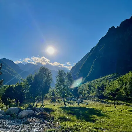 Bungaja